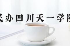 民办四川天一学院近三年在宁夏录取分数线(含2021-2023最低分)