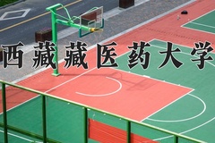 西藏藏医药大学近三年在青海录取分数线(含2021-2023最低分)