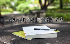 2024年民办合肥滨湖职业技术学院招生章程，附办学层次和录取规则