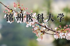 锦州医科大学近三年在青海录取分数线(含2021-2023最低分)
