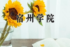 2024年宿州学院招生章程，附办学层次和录取规则