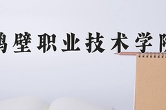鹤壁职业技术学院近三年在内蒙古录取分数线(含2021-2023最低分)