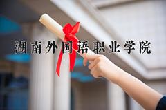 2024年湖南外国语职业学院招生章程，附办学层次和录取规则