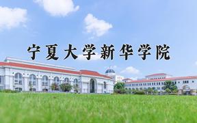 2024年宁夏大学新华学院招生章程，附办学层次和录取规则