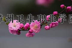 漳州卫生职业学院近三年在青海录取分数线(含2021-2023最低分)