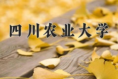 2024年四川农业大学招生章程，附办学层次和录取规则