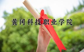 2024年黄冈科技职业学院招生章程，附办学层次和录取规则