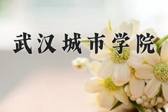 武汉城市学院近三年在青海录取分数线(含2021-2023最低分)
