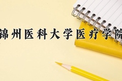锦州医科大学医疗学院近三年在宁夏录取分数线(含2021-2023最低分)