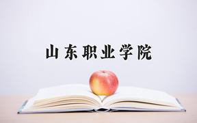 2024年山东职业学院招生章程，附办学层次和录取规则