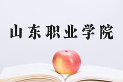 2024年山东职业学院招生章程，附办学层次和录取规则
