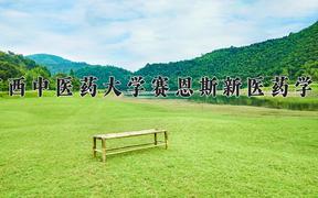 2024年广西中医药大学赛恩斯新医药学院招生章程，附办学层次和录取规则