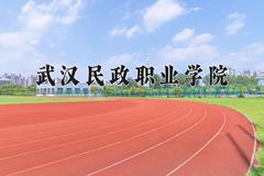 武汉民政职业学院近三年在青海录取分数线(含2021-2023最低分)