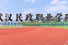 武汉民政职业学院近三年在青海录取分数线(含2021-2023最低分)