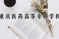 重庆医药高等专科学校近三年在宁夏录取分数线(含2021-2023最低分)