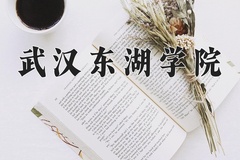 武汉东湖学院近三年在青海录取分数线(含2021-2023最低分)