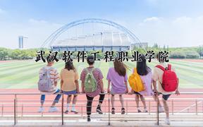 2024年武汉软件工程职业学院招生章程，附办学层次和录取规则