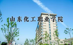 2024年山东化工职业学院招生章程，附办学层次和录取规则