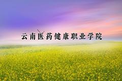 云南医药健康职业学院近三年在青海录取分数线(含2021-2023最低分)