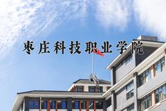 枣庄科技职业学院近三年在青海录取分数线(含2021-2023最低分)