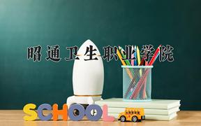 2024年昭通卫生职业学院招生章程，附办学层次和录取规则