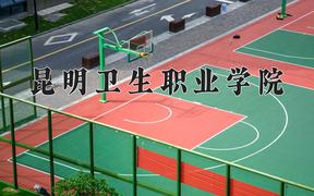 2024年昆明卫生职业学院招生章程，附办学层次和录取规则