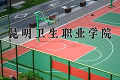 2024年昆明卫生职业学院招生章程，附办学层次和录取规则