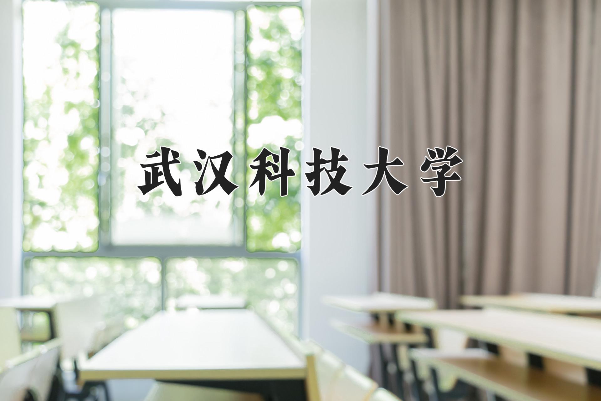 武汉科技大学