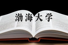 渤海大学近三年在内蒙古录取分数线(含2021-2023最低分)