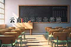 云南新兴职业学院近三年在宁夏录取分数线(含2021-2023最低分)