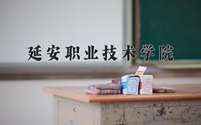 2024年延安职业技术学院招生章程，附办学层次和录取规则