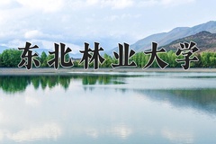 东北林业大学近三年在青海录取分数线(含2021-2023最低分)