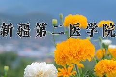 新疆第二医学院近三年在宁夏录取分数线(含2021-2023最低分)