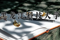 黑龙江科技大学近三年在宁夏录取分数线(含2021-2023最低分)