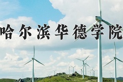 2024年哈尔滨华德学院招生章程，附办学层次和录取规则