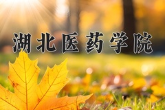 湖北医药学院近三年在宁夏录取分数线(含2021-2023最低分)