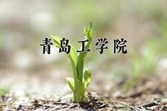 青岛工学院近三年在宁夏录取分数线(含2021-2023最低分)