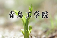 青岛工学院近三年在宁夏录取分数线(含2021-2023最低分)