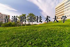 青海职业技术大学近三年在宁夏录取分数线(含2021-2023最低分)