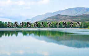 长春中医药大学(中外合作)近三年在内蒙古录取分数线(含2021-2023最低分)