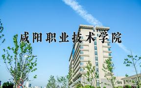 2024年咸阳职业技术学院招生章程，附办学层次和录取规则