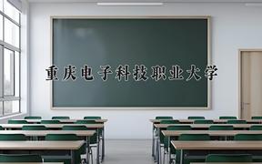 2024年重庆电子科技职业大学招生章程，附办学层次和录取规则