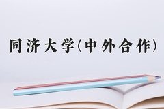 同济大学(中外合作)近三年在内蒙古录取分数线(含2021-2023最低分)