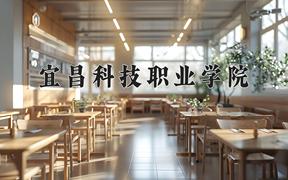 2024年宜昌科技职业学院招生章程，附办学层次和录取规则