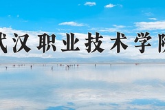 武汉职业技术学院近三年在宁夏录取分数线(含2021-2023最低分)