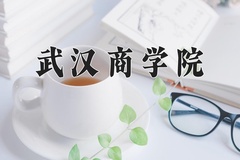 武汉商学院近三年在青海录取分数线(含2021-2023最低分)