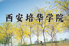 西安培华学院近三年在青海录取分数线(含2021-2023最低分)