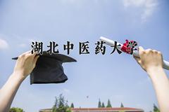 湖北中医药大学近三年在青海录取分数线(含2021-2023最低分)