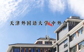 天津外国语大学(中外合作)近三年在内蒙古录取分数线(含2021-2023最低分)