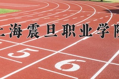 上海震旦职业学院近三年在宁夏录取分数线(含2021-2023最低分)